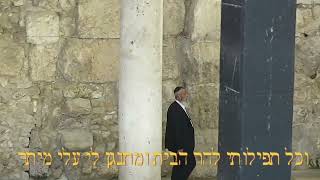 "ליבי הולך לירושלים"  הקליפ הרשמי  הרב  רוני בוסי יצ"ו (הרב רוני בוסי) - התמונה מוצגת ישירות מתוך אתר האינטרנט יוטיוב. זכויות היוצרים בתמונה שייכות ליוצרה. קישור קרדיט למקור התוכן נמצא בתוך דף הסרטון