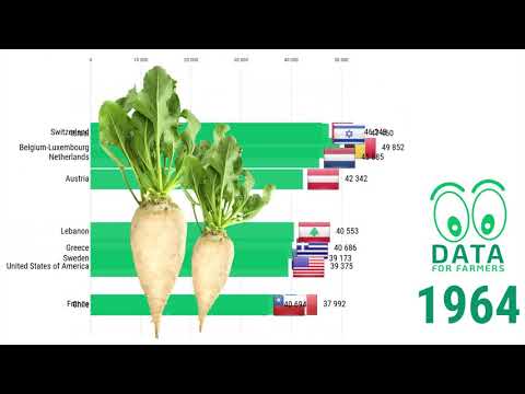 SUGAR BEET | Highest average yield per country worldwide 1962 - 2017 | Top 10
