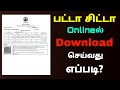 How To Get Patta Chitta Online In Tamilnadu Download Patta Chitta Tricky World