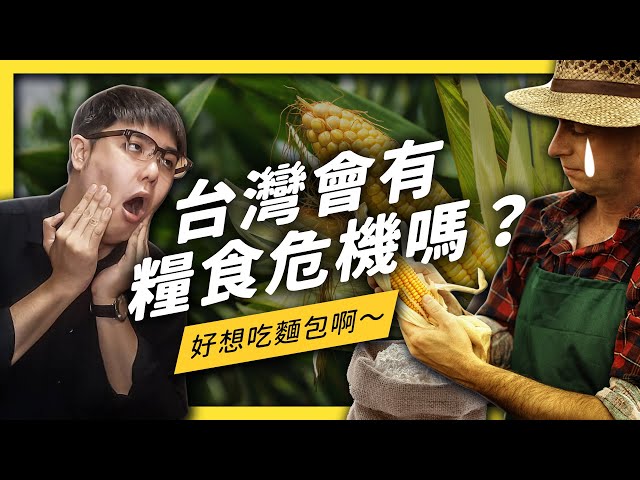 疫情造成各地糧食危機，台灣能順利度過嗎？| 志祺七七