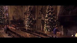 ВСЕ ВЫРЕЗАННЫЕ СЦЕНЫ • Гарри Поттер и философский камень (2001)