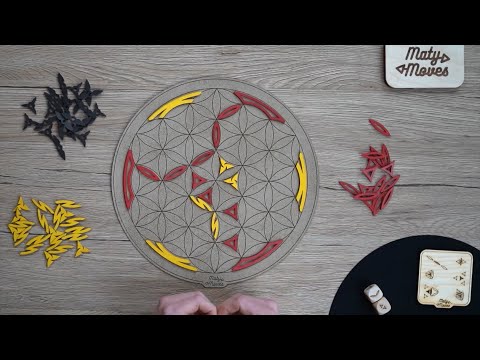 EQUILIBRIX Connect TUTORIAL - ENG