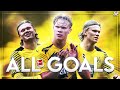 Erling Haaland 2020/2021 ● All Goals ᴴᴰ