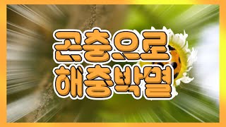 [스토리가 있는 경기팜 05] 천척을 이용한 해충 방제 (자연 조율사, 천적이야기)
