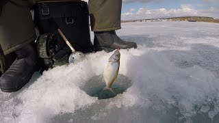 Как поймать щуку на иркутском водохранилище
