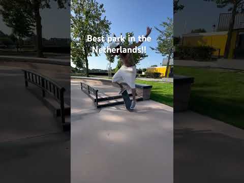 Skating the best park in the Netherlands with the OG homie!! #skateboarding #backtoback #oghomies