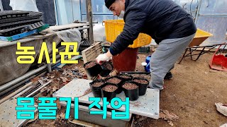 농사꾼 몸풀기 작업