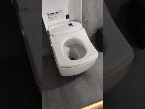 Neorest LE 1 Look words top class WC