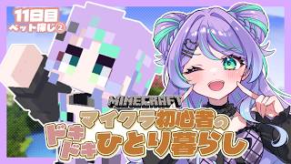 【 #minecraft 】マイクラ初心者のドキドキひとり暮らし  -11日目- ペットと暮らしたい【 月紫乃むに ⏾ Vtuber 】