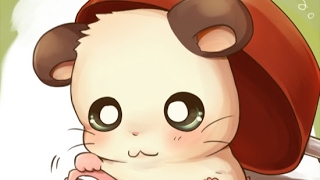 たこわさ のライブ ストリーム