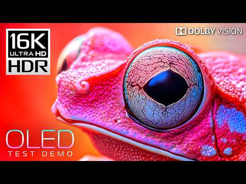 INSANE Beauty in 16K HDR 120fps Dolby Vision (4K / 8K Video TV TEST)