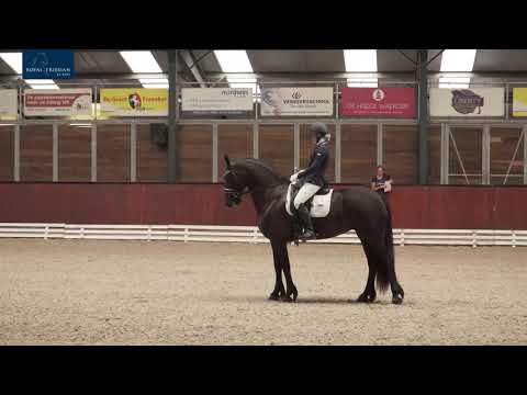 Livestream IBOP 6-8-2020 Wergea