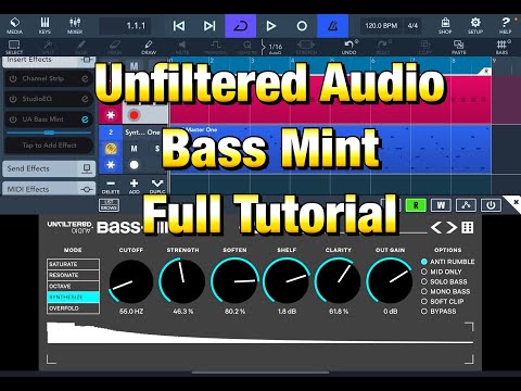 BASS MINT - Bass Enhancer - Everything You Need To Know - Full Tutorial for the iPad