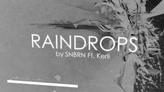 Raindrops by SNBRN Ft. Kerli (Lyric Video)