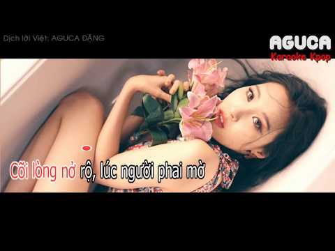 [Karaoke Việt + Audio] GASHINA - SUNMI