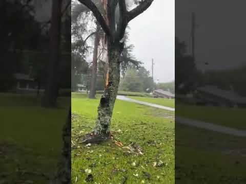 Smoke Surrounds Birmingham Home After Lightning Strikes Multiple Trees