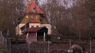 preview picture of video 'Kühkopffilm-Neujahrswanderung 2012-Erfelden-Stockstadt -Biebesheim-Gernsheim'