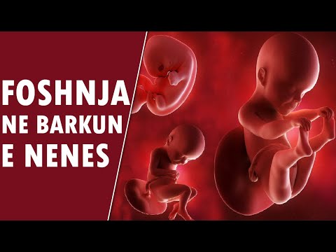 Mrekullia e foshnjes ne barkun e nenes dhe ne boten e re! Fakte Madheshtore