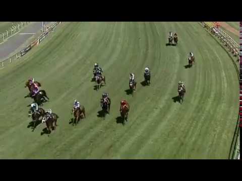 2019-03-26 : Turffontein race 1