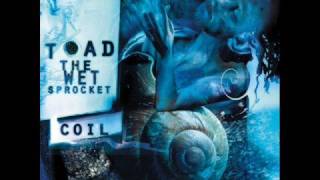 Toad the Wet Sprocket - Little Buddha