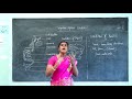X STD BIOLOGY DAY 11 DIGESTIVE SYSTEM OF RABBIT