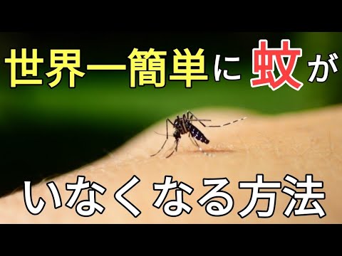 庭でのコーヒーかすの一般的な 3 つの用途 + 安全なガーデニングのために避けるべき 5 つの間違い!  庭園