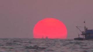 Cressida -  Home Is Where I Long to Be