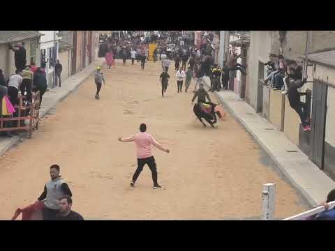 Grave cogida Toro del Voto Villoris 6-4-2024