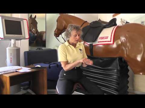 Mary Wanless &mdash; Rider Biomechanics: Plugging In (Seat & Body Position Under Saddle)