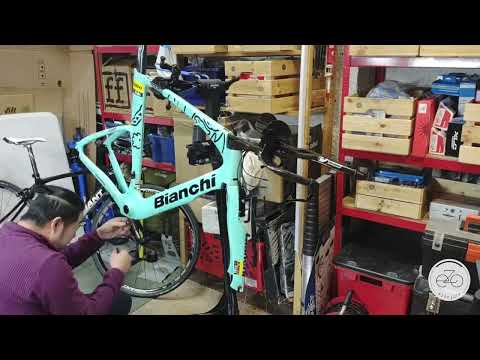 Bianchi Aquila CV build
