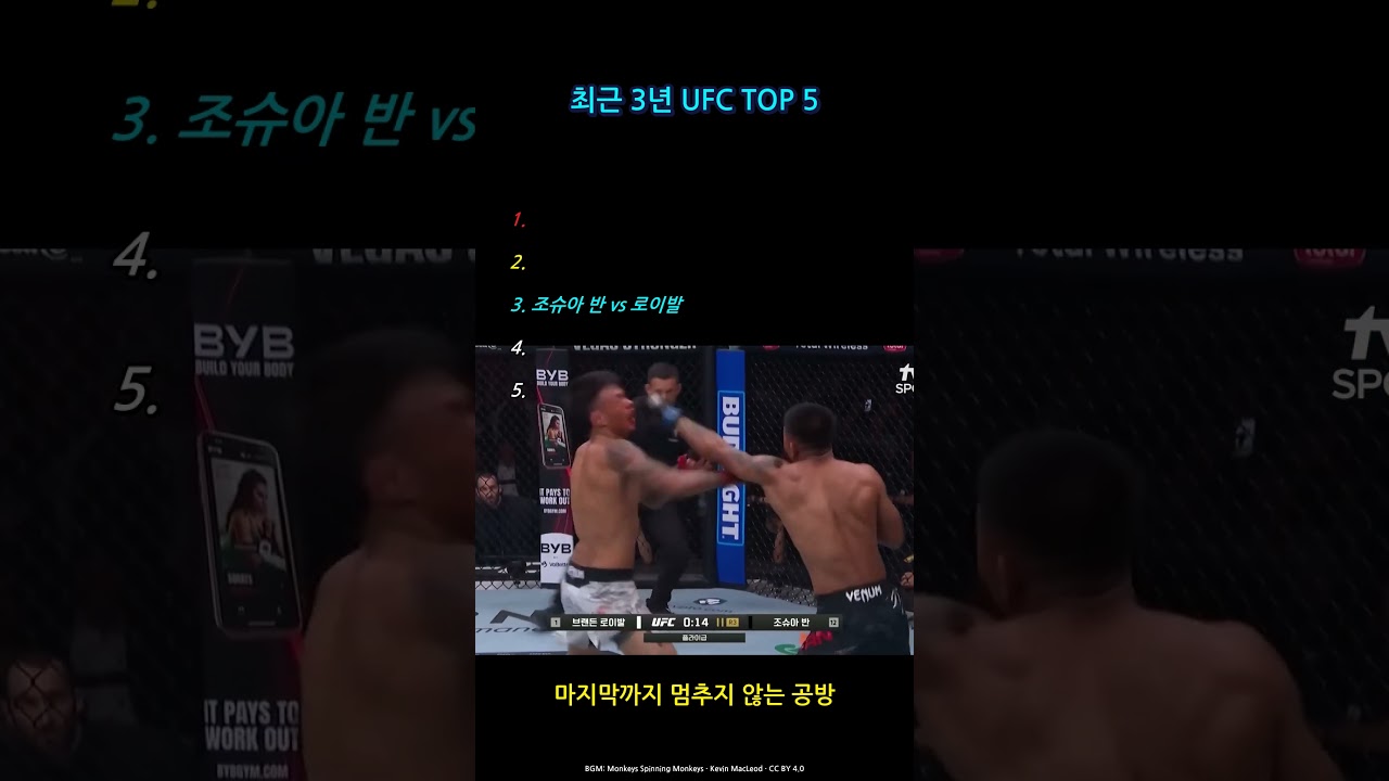 마지막 1초까지 미쳤다, 최근 3년 UFC 하이라이트 TOP 5