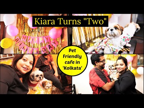 Puppy's Second Birthday | Birthday Special Visit to Pet Friendly Cafe In Kolkata | Shihtzu BIRTHDAY Video