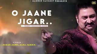 Download lagu O Jaane Jigar - Kumar Sanu | Alka Yagnik | Yeh Hai Jalwa | Kumar Sanu Hits movie song mp3 Download lagu O Jaane Jigar - Kumar Sanu | Alka Yagnik | Yeh Hai Jalwa | Kumar Sanu Hits movie song mp3