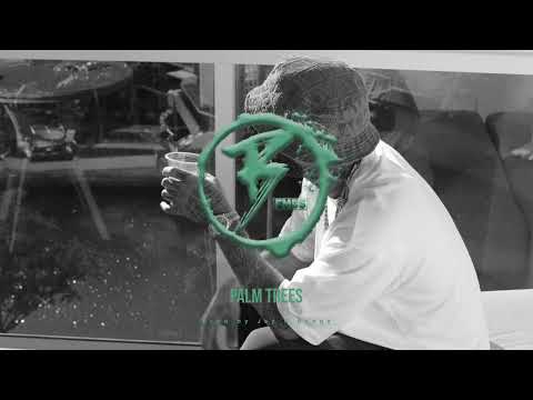 Larry June x Berner type beat 2022- Palm Trees