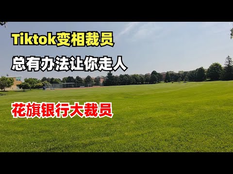 Thumbnail for Tiktok变相裁员，总有办法让你走人，花旗银行大裁员