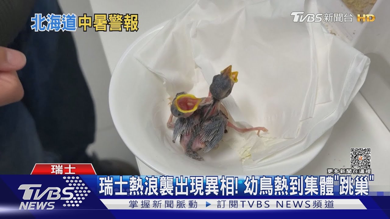 京都飆40度 今年最熱北海道罕見發「防中暑警報」