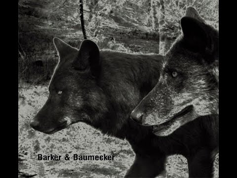 BARKER & BAUMECKER – Transsektoral (2012) FULL ALBUM - Electronic, Techno