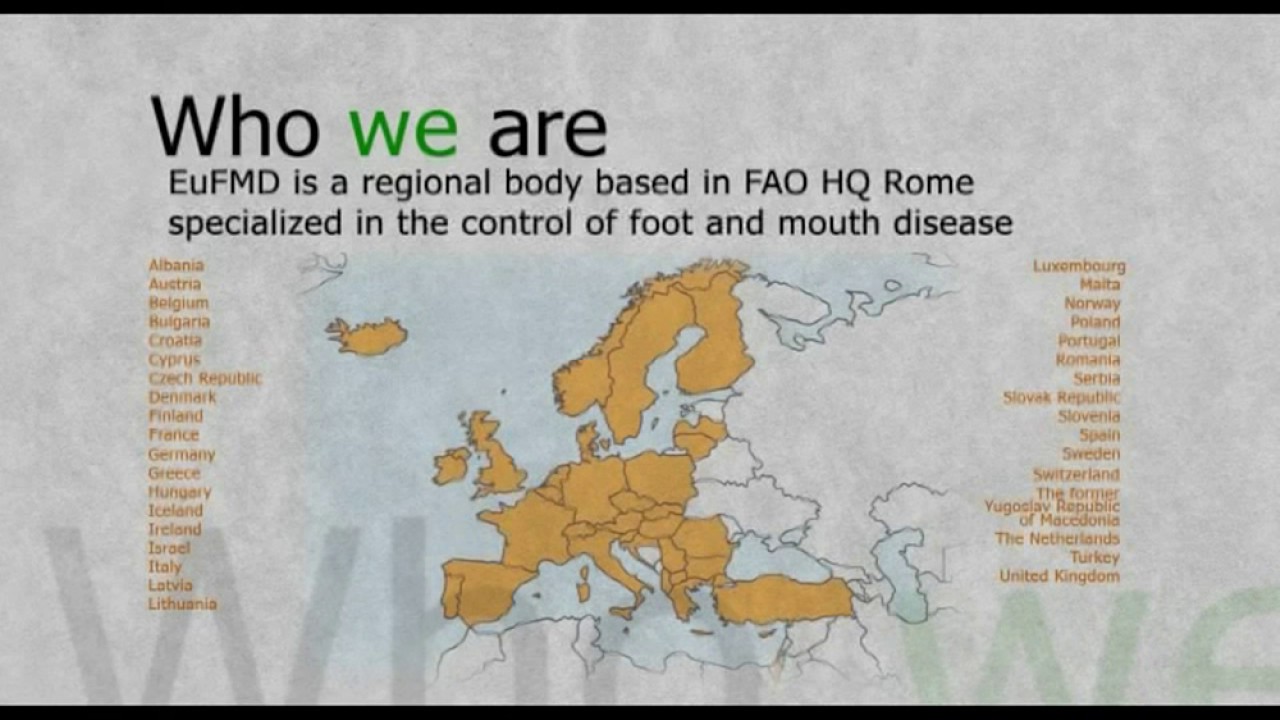 The European Commission for the control of Foot-and-Mouth Disease (EuFMD)