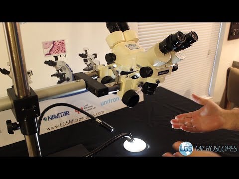 Dual Head Microscope