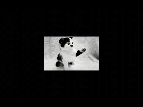 resonant squad - joining forces