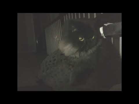 DJ LILROD PRESENTS: Jackson Richard Kaiser - backnforth