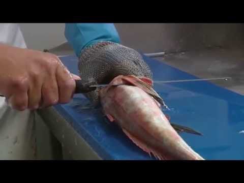 How to Fillet & Skin: Gurnard, Sole & Rig - Tips and Techniques by Knifetechnz