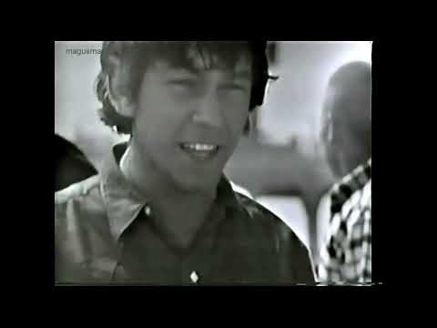 The Animals Where The Action Is 1965