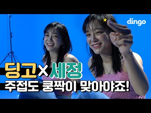 [ENG SUB] 🔥세정X딩고의 본격 주접 배틀🔥 | SEJEONG - Whale🐳 세로라이브 촬영 현장 | Behind the scenes | 딩고뮤직 | Dingo Music thumnail
