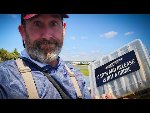 These 4 Lures Will Catch Any Bass in the UK