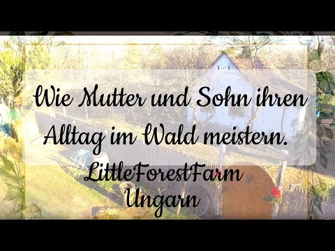 #Emigrated. 🇭🇺 It's now been 1 #year since we started our new #life in #Hungary. #forestlife🌳