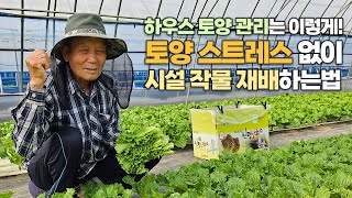 하우스 토양 관리는 이렇게! 토양 스트레스 없이 시설 작물 다수확 재배 성공하는 법
