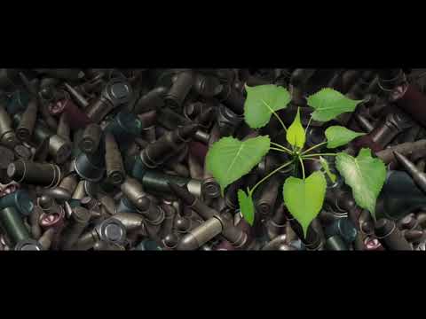 Tagesdosis 28.11.2018 - Quo vadis pacem ? (kV)