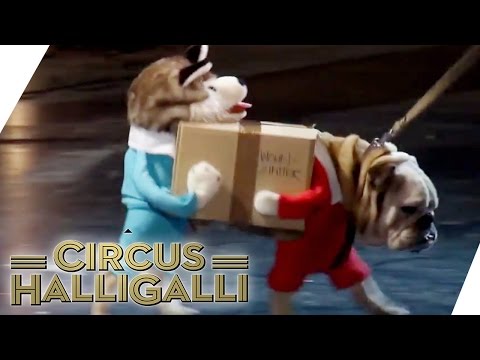 Aushalten: Nicht lachen (Tag Team Edition) Vol. 2 - TEIL 4 | Circus Halligalli  | ProSieben