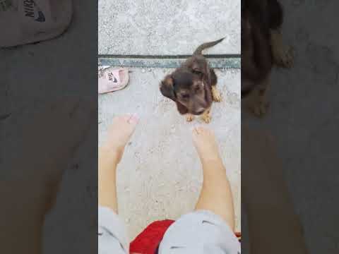 1 сентября 2025 г.